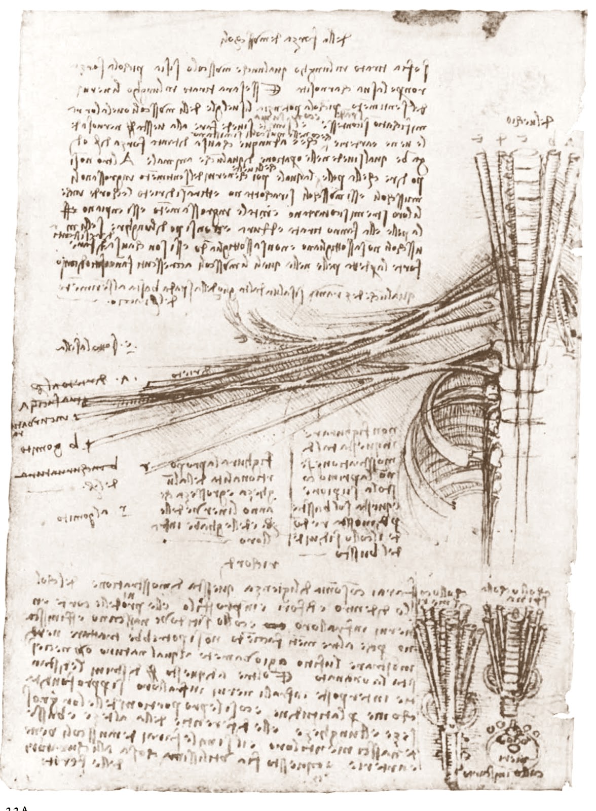 Leonardo+da+Vinci-1452-1519 (784).jpg